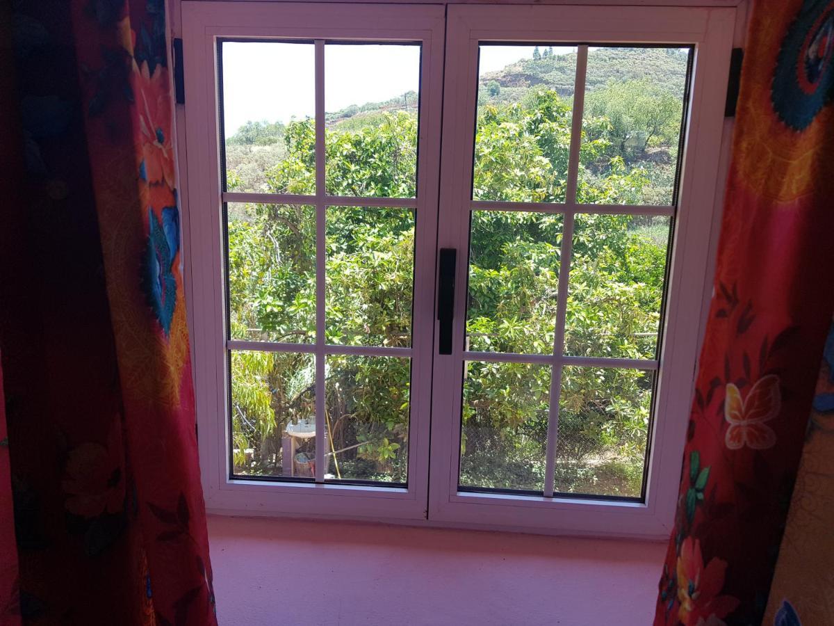 Finca Rural Torres Casas 1 Y 4 Bed & Breakfast Vega de San Mateo Esterno foto