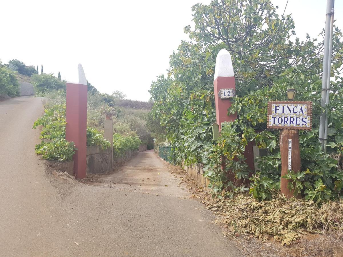 Finca Rural Torres Casas 1 Y 4 Bed & Breakfast Vega de San Mateo Esterno foto