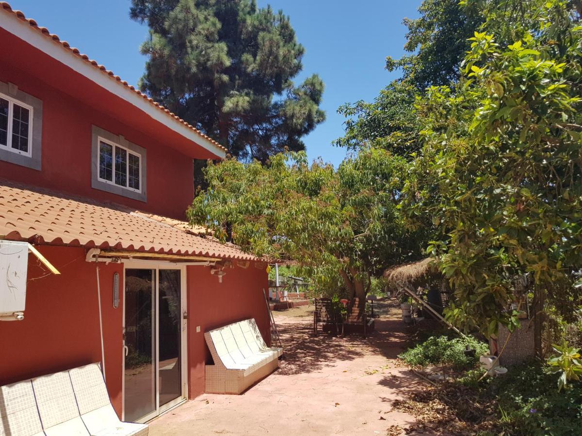 Finca Rural Torres Casas 1 Y 4 Bed & Breakfast Vega de San Mateo Esterno foto