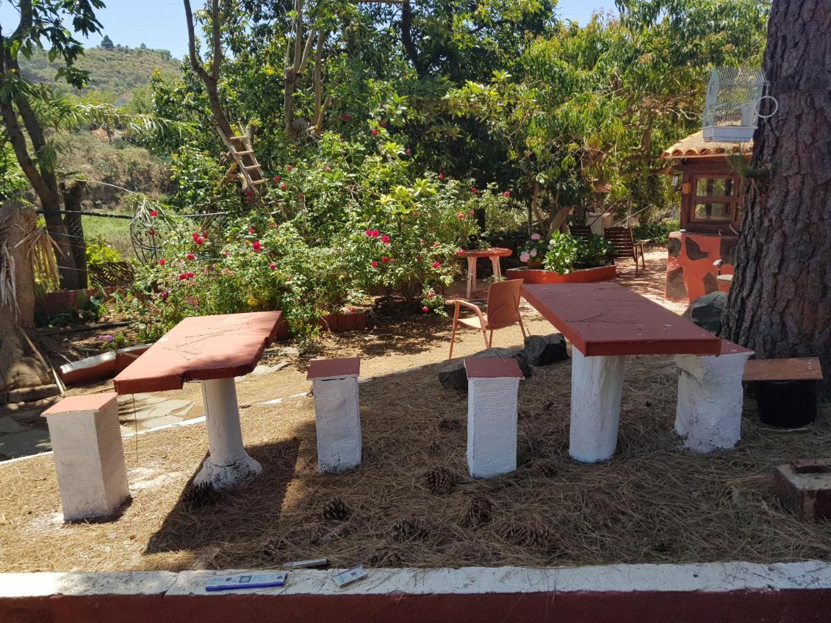 Finca Rural Torres Casas 1 Y 4 Bed & Breakfast Vega de San Mateo Esterno foto