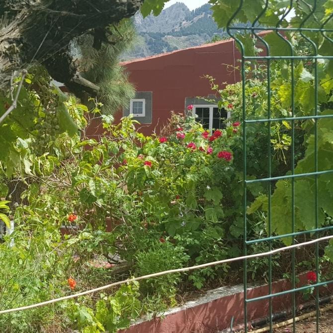 Finca Rural Torres Casas 1 Y 4 Bed & Breakfast Vega de San Mateo Esterno foto