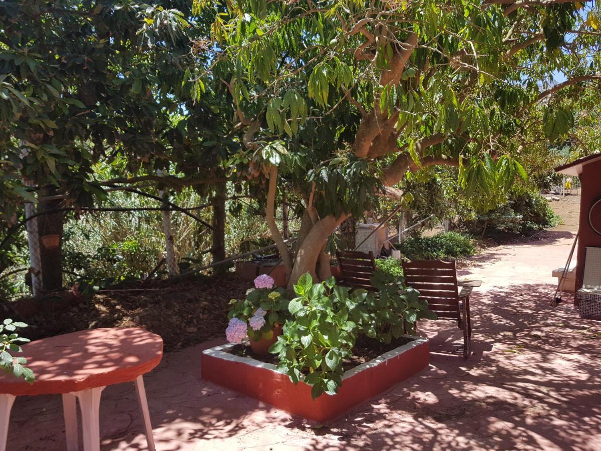 Finca Rural Torres Casas 1 Y 4 Bed & Breakfast Vega de San Mateo Camera foto